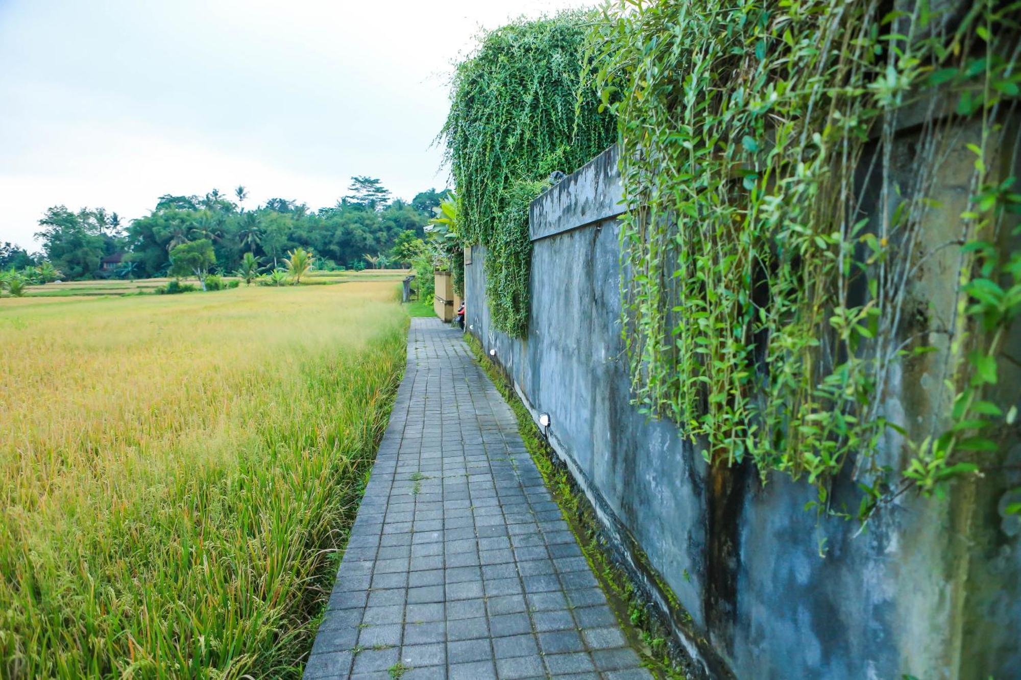 Heaven Villa Ubud Extérieur photo