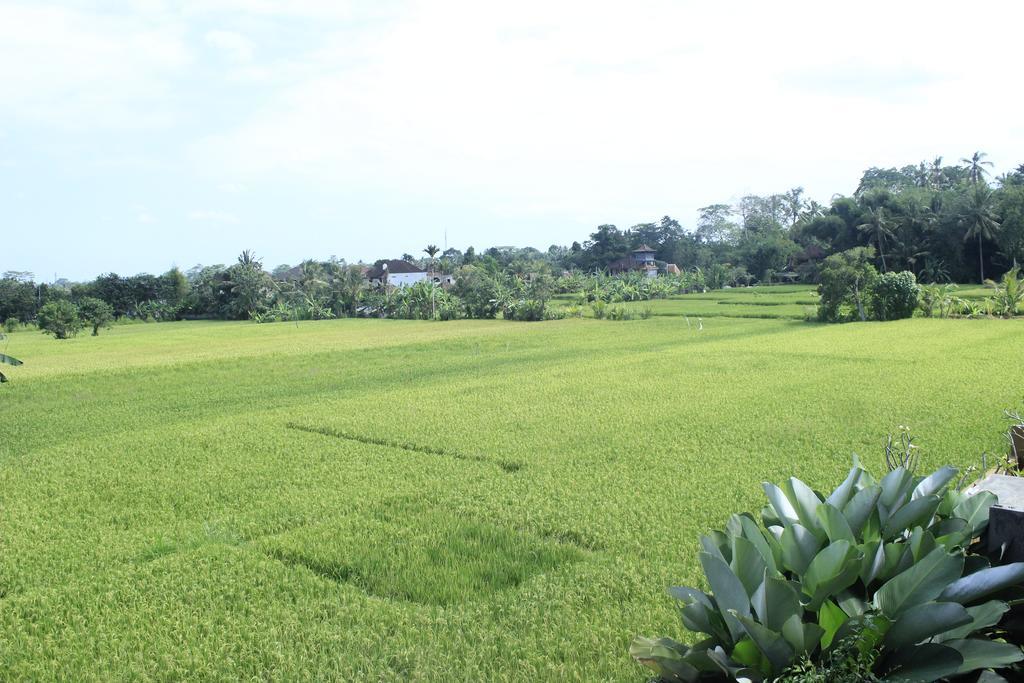 Heaven Villa Ubud Extérieur photo